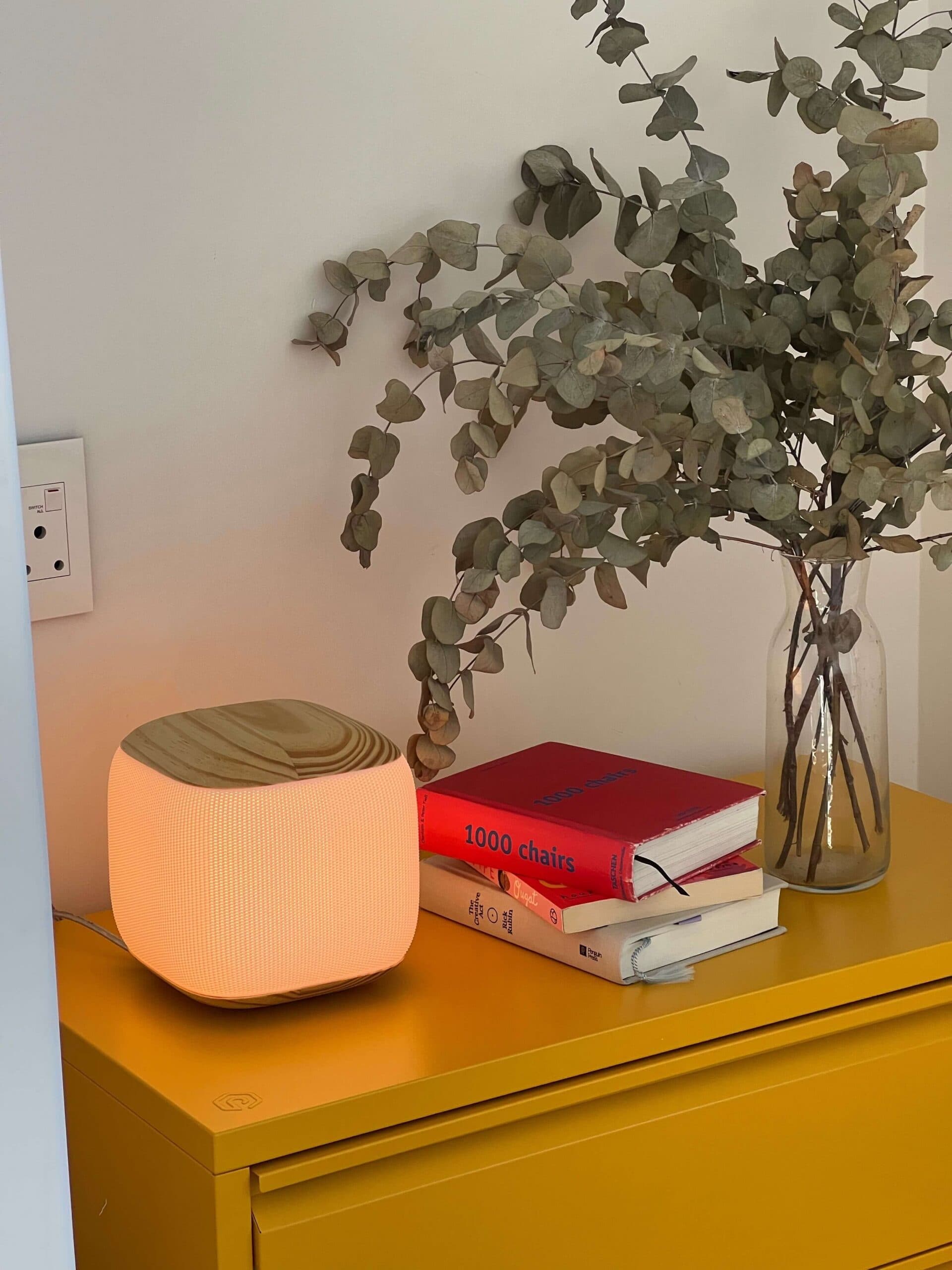 Jenny Lamp — view 1