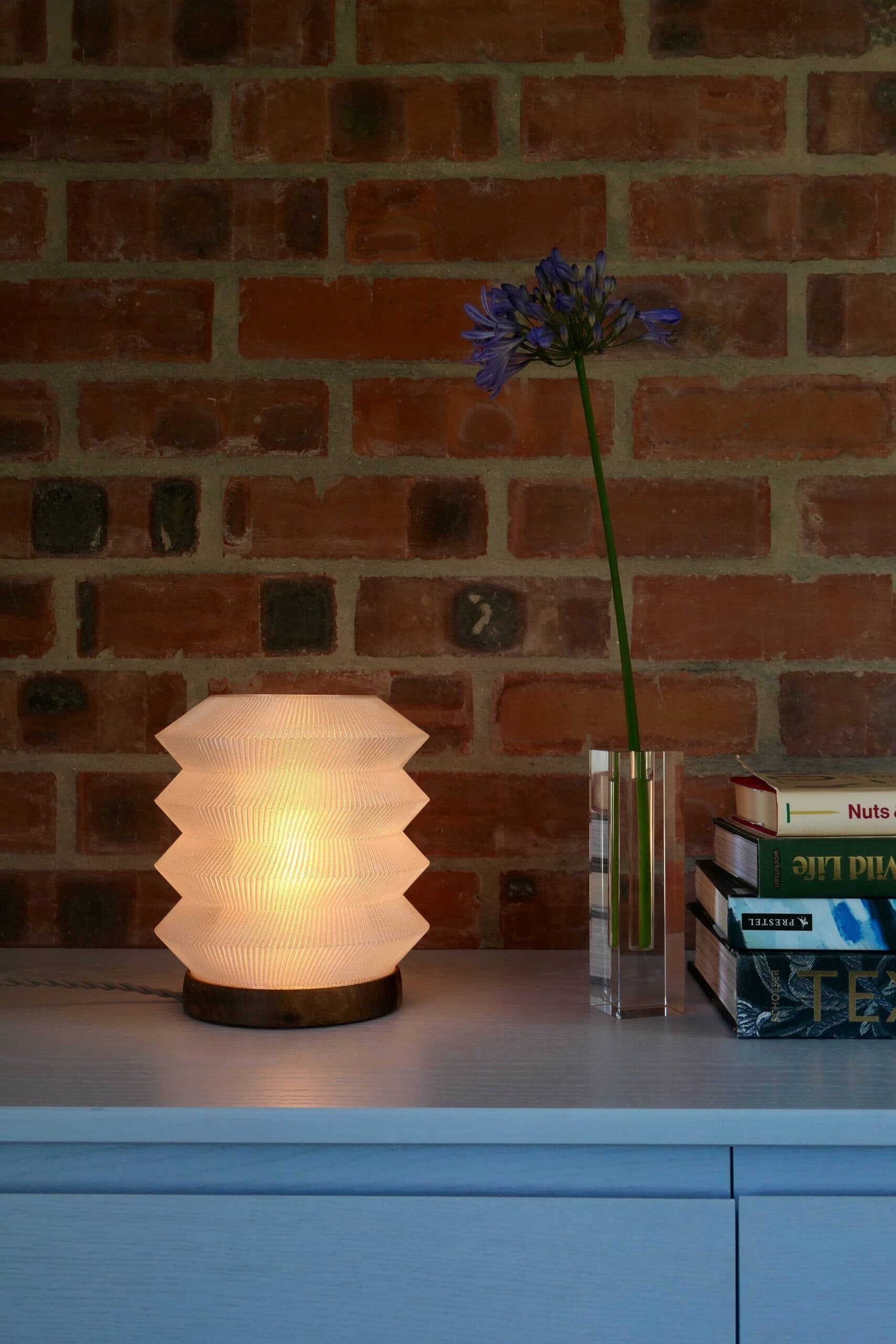 Magpie Lamp switched on against a red brick wall, glowing beside a single agapanthus stem