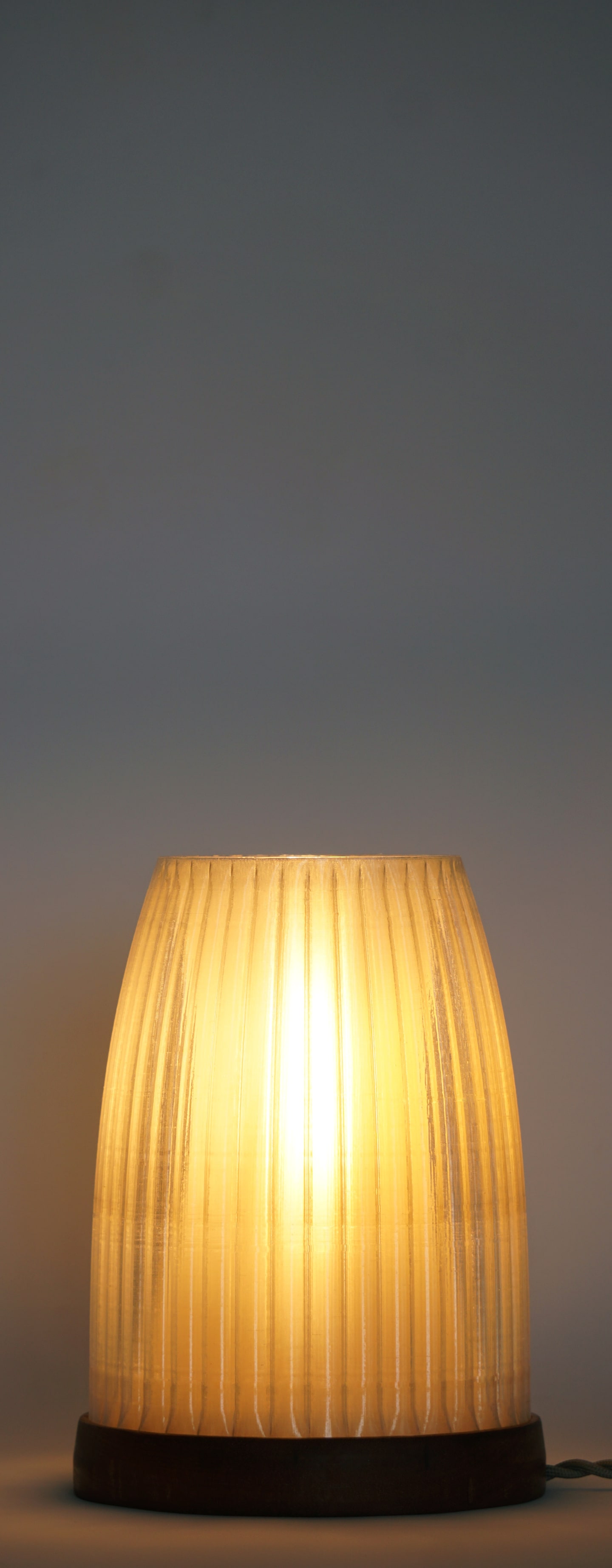 made by pigeons lamp illuminated
